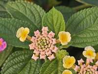 https://images.plurk.com/1IjLXOZmJKnzlBVQucjQBH.jpg