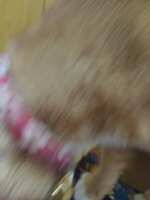 https://images.plurk.com/1InpInpoUa4kCZWk4dWi7Q.jpg