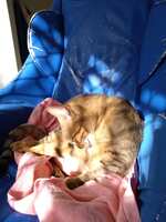 https://images.plurk.com/1Irq3GBgmR9unwdB1jQfEB.jpg