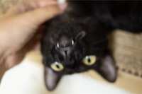 https://images.plurk.com/1IyQ2i44v76lJIZFLJU1W2.jpg