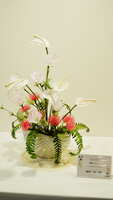 https://images.plurk.com/1JHJ0hSd4jtzCOkXK6cGJi.jpg