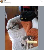 https://images.plurk.com/1JM8PcaklW4HXB0b48B8rq.png
