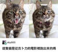 https://images.plurk.com/1JPmqvwuuUbmAork4hirLn.jpg