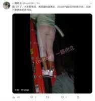 https://images.plurk.com/1JU6cVaSMGhrSFXDhnnNNv.png