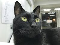https://images.plurk.com/1JVcB9fFMX6lBK9x09QiYd.jpg