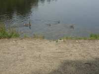 https://images.plurk.com/1JYwktB4V67hS1dN6JCHD9.jpg