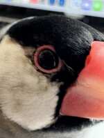 https://images.plurk.com/1JbREgW2BYFU2x51QThRvS.jpg