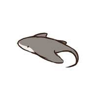 https://images.plurk.com/1JkcR2iaf43rIcMS7JnbIu.png