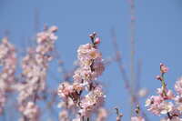 https://images.plurk.com/1JoKrIbGjQLZqGlogLWrAQ.jpg
