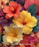 https://images.plurk.com/1Jp29EKLLLoBNpW8BAZtfX.jpg