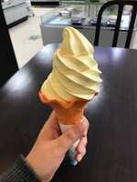 https://images.plurk.com/1Jqzx8EsHqYQaodq7JwVd8.jpg