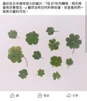 https://images.plurk.com/1JrVL9j8L2U8jI3Ty4jCQX.jpg