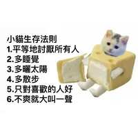 https://images.plurk.com/1JtrFErSA2emk6vV3sRUUX.jpg