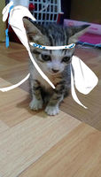 https://images.plurk.com/1JxVXzupzC4wNiKI56WzQi.jpg
