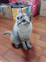 https://images.plurk.com/1K4KLVgQaJb7nbwAfPDqk4.jpg