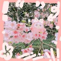 https://images.plurk.com/1K4T821EUjwTekqxCiS0mE.jpg