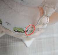 https://images.plurk.com/1K4xw1NsZtl7SO8HYNrZue.jpg
