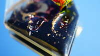 https://images.plurk.com/1K8vyVlC7DFch2vYgUdAaw.jpg