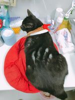 https://images.plurk.com/1KCfpvtZVWoV6l4ZH343QY.jpg