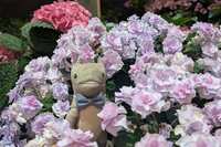 https://images.plurk.com/1KLBUN72Jdk73VyWbyBeFO.jpg
