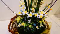 https://images.plurk.com/1KQgbRfNy4xNy3e41nKWBk.jpg