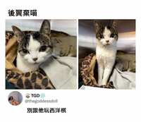 https://images.plurk.com/1KTUU5rOkUZOE3bbMbpfaI.jpg