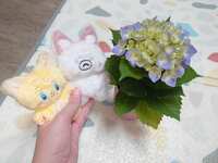 https://images.plurk.com/1KU4wkuXfZv8ZoT9tj9cCF.jpg