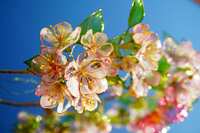 https://images.plurk.com/1KWkp9XqYG0A44cLUUIFuu.jpg
