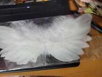 https://images.plurk.com/1KYZgVTOKk4uOPpKBRvqdF.jpg