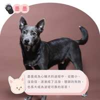 https://images.plurk.com/1KZeKYwlsH8gXP6A508iWr.png