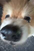 https://images.plurk.com/1Kc82apxvvl5k1cVHRRtLC.jpg