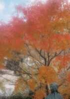 https://images.plurk.com/1KgHc4oR5SVJHDVsMQKGRK.jpg
