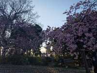 https://images.plurk.com/1KgbNdDWIhM0UQPZfuLp5A.jpg