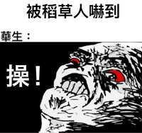 https://images.plurk.com/1KnI2B1ER1zslS0Lpcj2H4.jpg