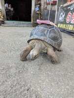 https://images.plurk.com/1KoOKEKuMK5aaBSn0lnMZB.jpg