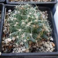 https://images.plurk.com/1KoteTQfQzLoA1znM1YSIP.jpg