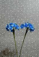 https://images.plurk.com/1KtLN4CvFHlkE9MgmfdLqH.jpg