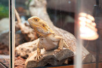 https://images.plurk.com/1Kxjawc1AE4uFBS57hxPKl.jpg