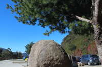https://images.plurk.com/1L0J2GsuTZWAgW1cPzTZBQ.jpg