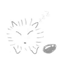 https://images.plurk.com/1L63nKUcJyNjXSJmfAksP5.jpg