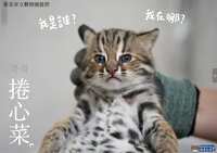 https://images.plurk.com/1L6bKLdW72w1vACzaogtHA.jpg
