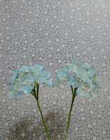 https://images.plurk.com/1L7LDt9z6TuccSEjb9Tq9U.jpg
