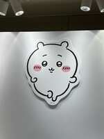 https://images.plurk.com/1L7nzDwSWYmS0Za2WJBo9s.jpg