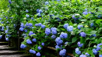 https://images.plurk.com/1LNgyiW4vwmvES79vKCb.jpg