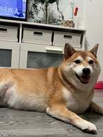 https://images.plurk.com/1LOYmKHOu0AH20ZPO0MMNZ.jpg