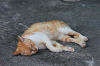 https://images.plurk.com/1LYr4iS9Egl9hTsyZ8l38o.jpg
