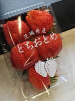 https://images.plurk.com/1LZsddZsLNoStlNWktwAbf.jpg