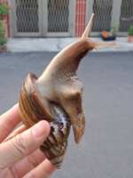 https://images.plurk.com/1LdQyw7Zp4NxnX4aLkGvVK.jpg