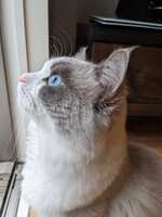 https://images.plurk.com/1Lh32oWh5gCQaf8SxdocVd.jpg