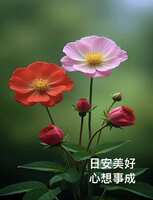 https://images.plurk.com/1LjLxHhBzxDZ1GzAZ9FXlf.jpg